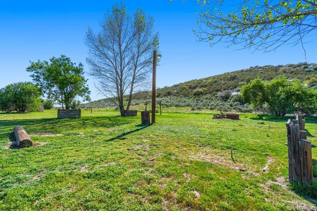 2815 Miller Valley Road Pine Valley, CA 91962 - Photo 39 of 45 a view of a garden with a tree