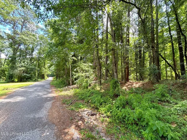 $75,000 | Southeast Freeman Road, Summit, MS 39666