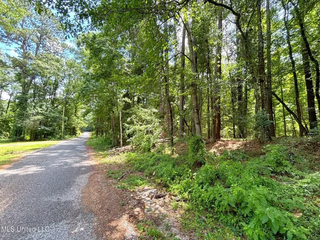 $75,000 | Southeast Freeman Road, Summit, MS 39666