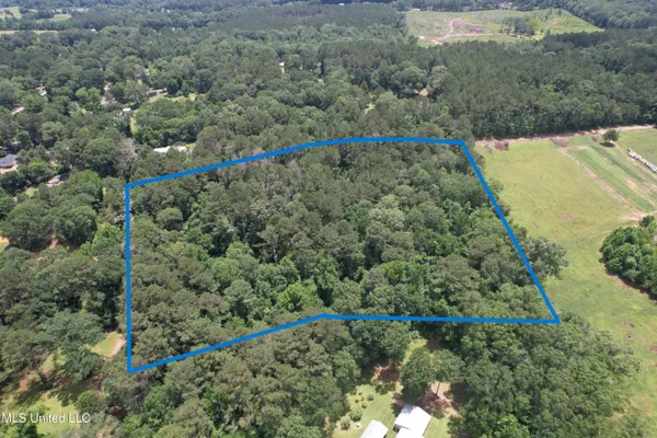 $75,000 | Southeast Freeman Road, Summit, MS 39666