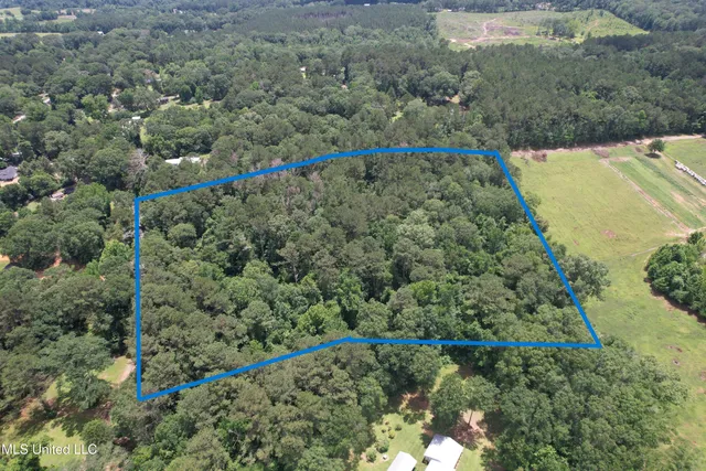 $75,000 | Southeast Freeman Road, Summit, MS 39666
