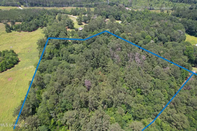 $75,000 | Southeast Freeman Road, Summit, MS 39666