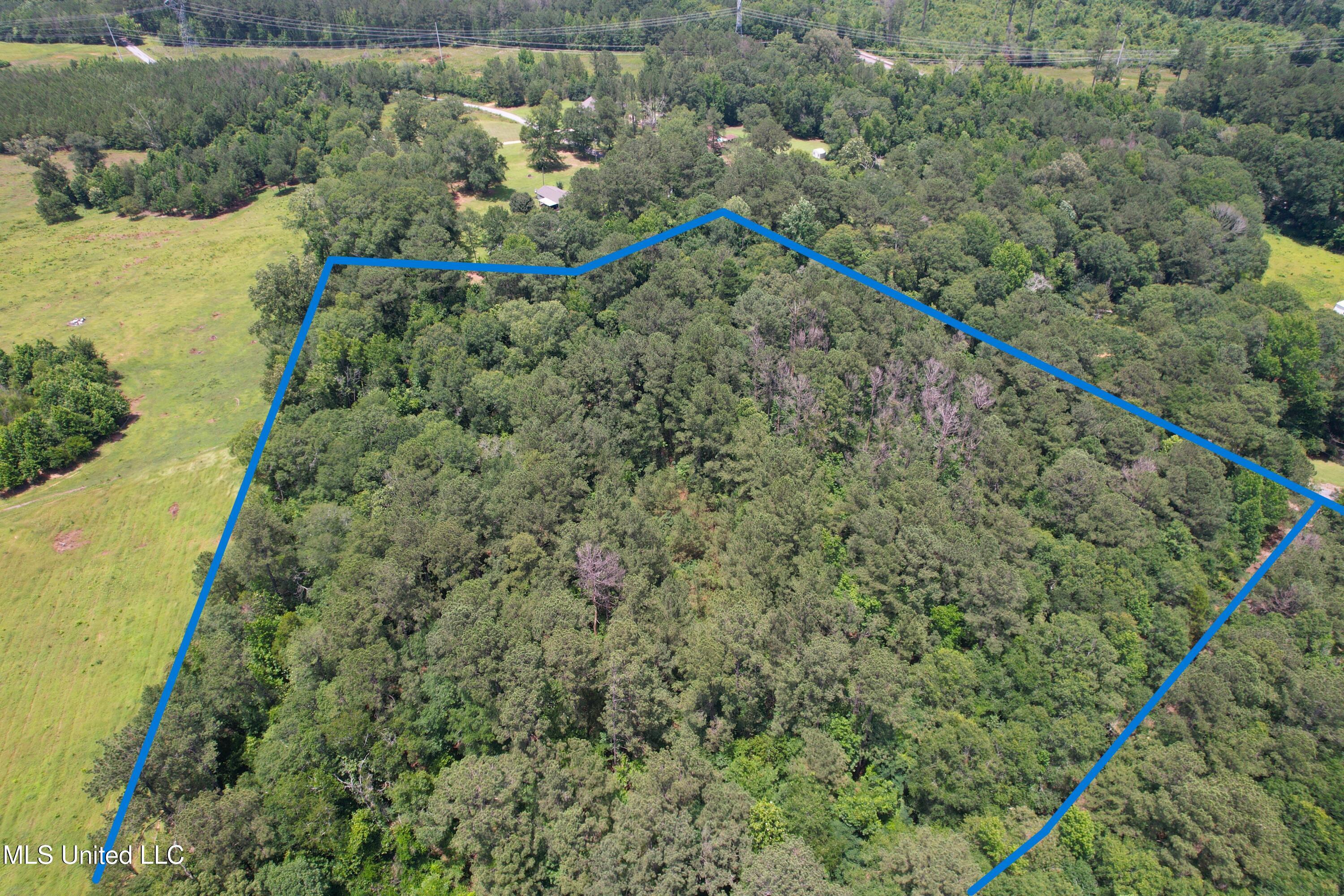 Southeast Freeman Road Summit, MS 39666 - Photo 3 of 8 DJI_0383