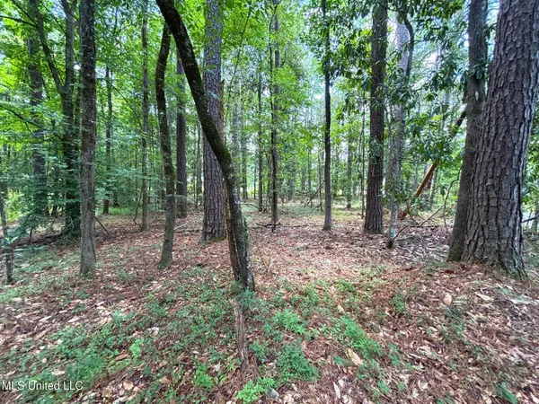 $75,000 | Southeast Freeman Road, Summit, MS 39666