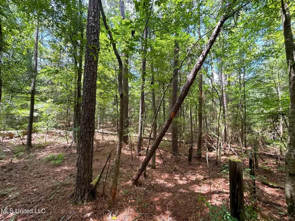 $75,000 | Southeast Freeman Road, Summit, MS 39666