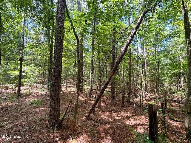 $75,000 | Southeast Freeman Road, Summit, MS 39666