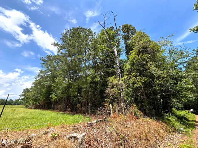 $75,000 | Southeast Freeman Road, Summit, MS 39666