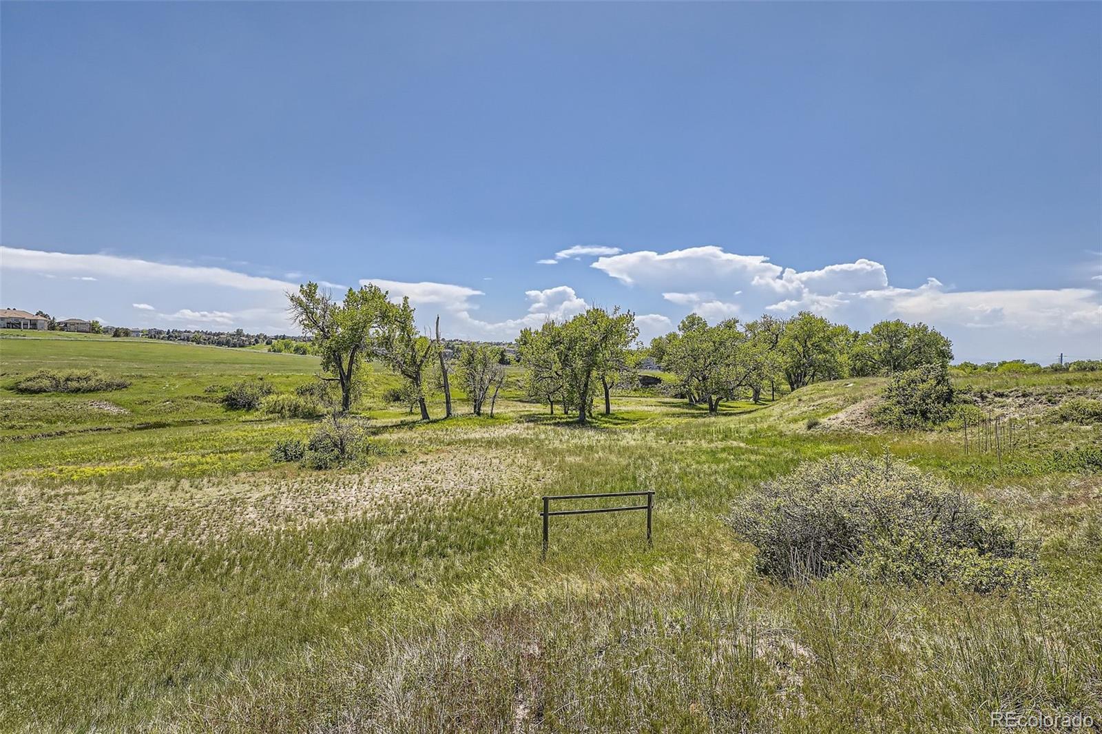 2 North Tomahawk Road Parker, CO 80138 - Photo 8 of 31