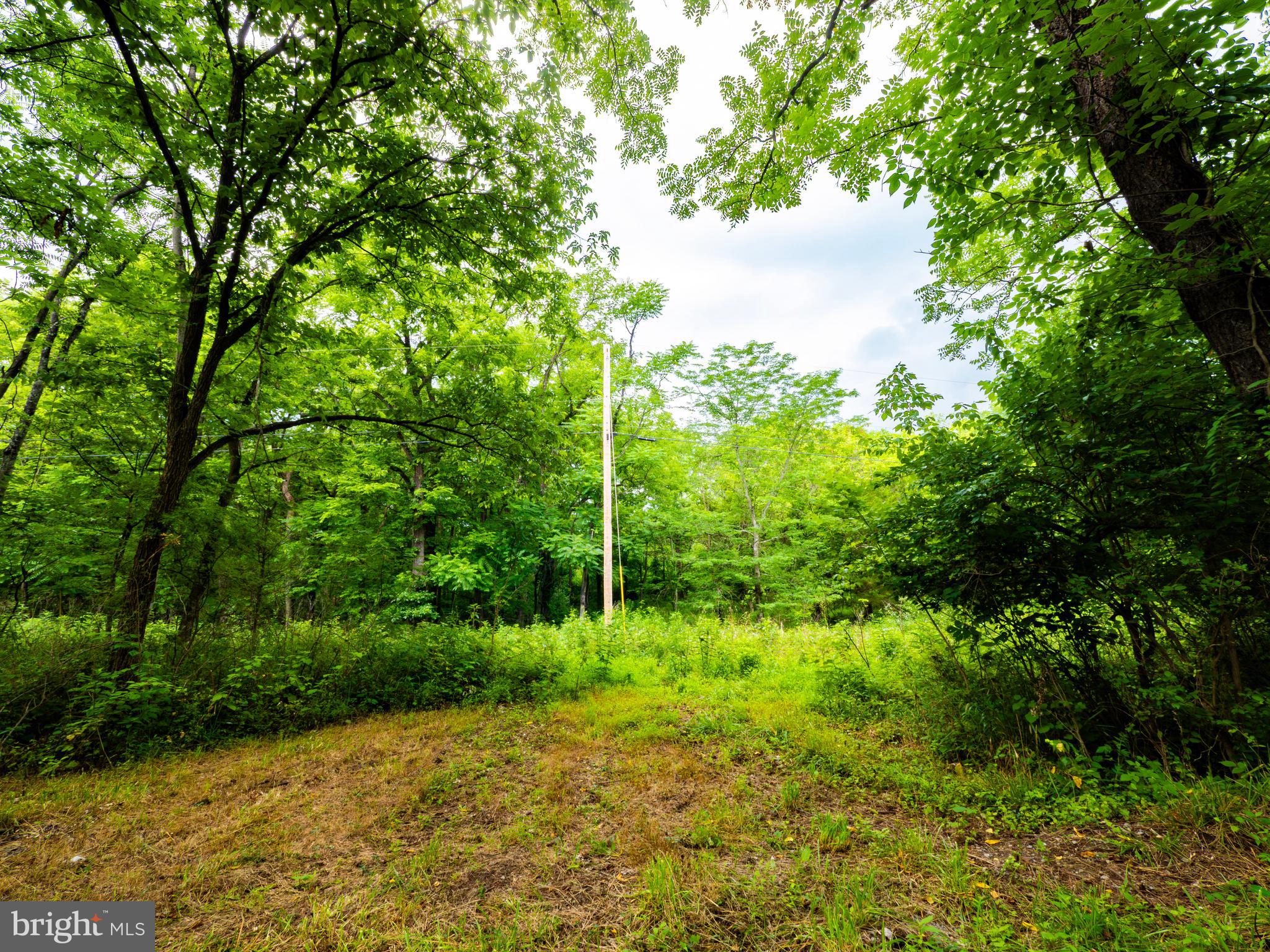 312 Jamestown Road Summit Point, WV 25446 - Photo 6 of 8