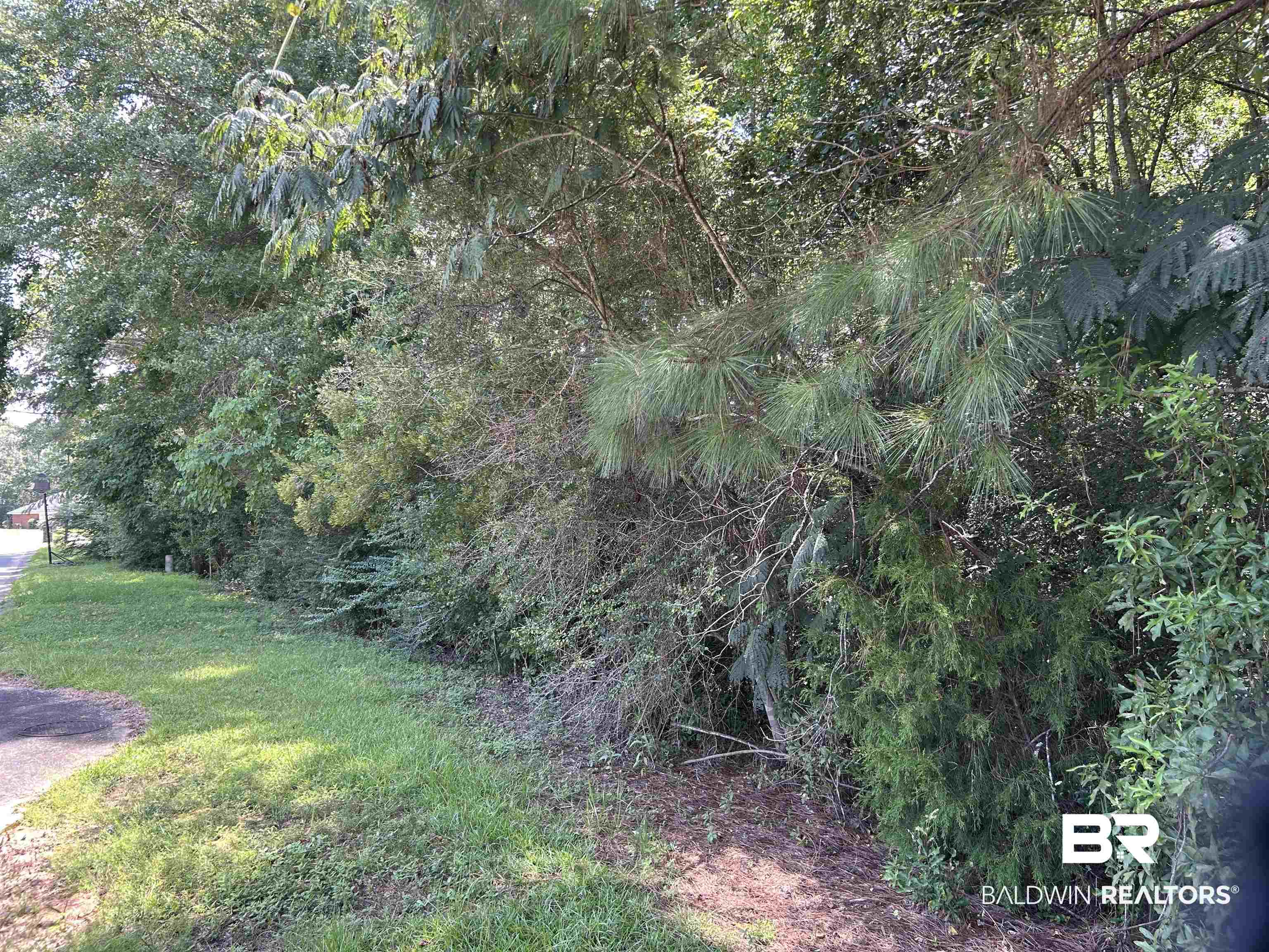 Eight Mile Al Eight Mile, AL 36613 - Photo 3 of 3 View of nature