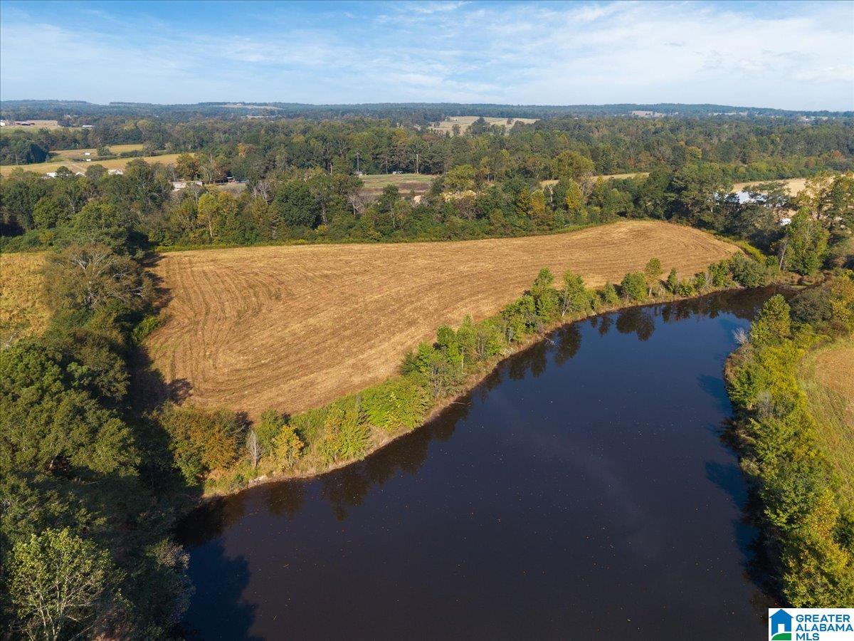 21 County Road, Unit 2 00 Horton, AL 35980 - Photo 5 of 17