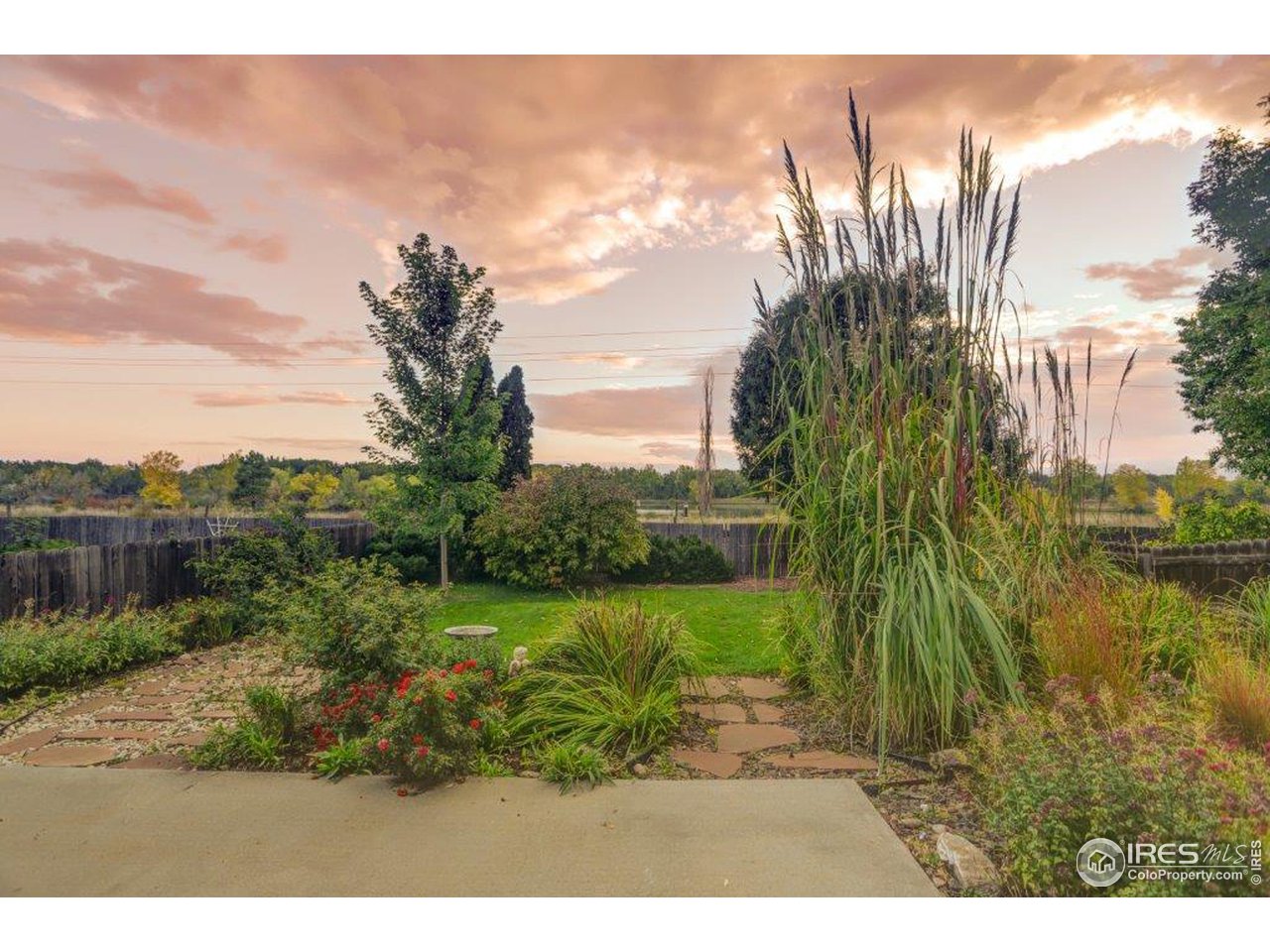 737 Wade Road Longmont, CO 80503 - Photo 4 of 40