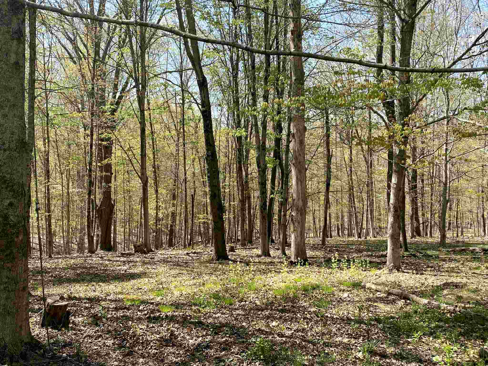 7503 East Rush Ridge Road Bloomington, IN 47401 - Photo 4 of 13