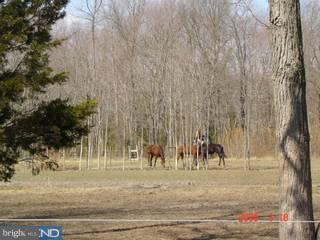 1323 Bryants Corner Road Hartly, DE 19953 - Photo 3 of 3 Gallery Image 3