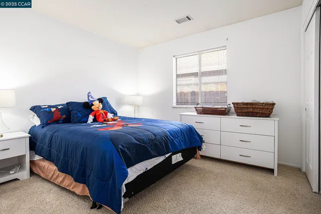 a view of backyard of the house