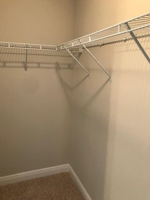 65 Crossing Lane, Unit D Santa Rosa Beach, FL 32459 - Photo 6 of 10 Walk In Closet