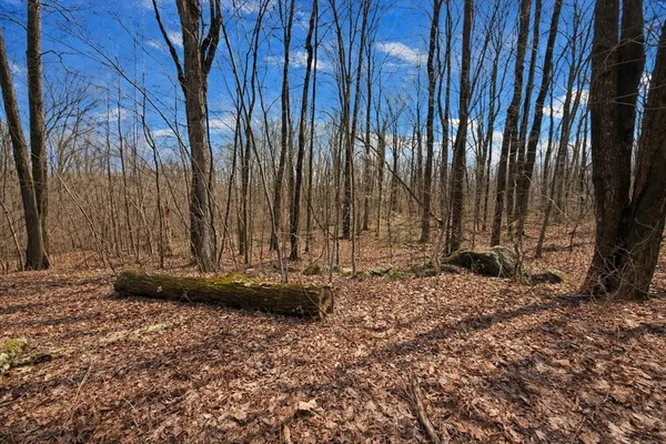 $125,000 | 134 Nash Hill Road, Williamsburg, MA 01039