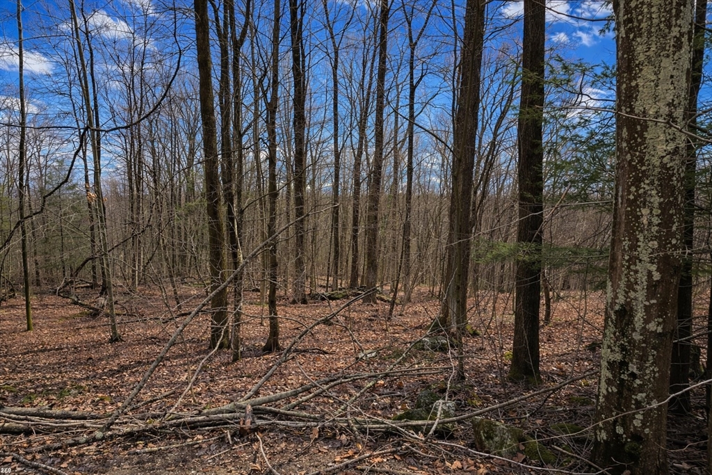 134 Nash Hill Road Williamsburg, MA 01039 - Photo 2 of 3