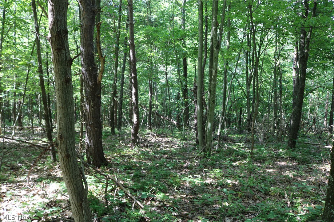 Lick Run Road Newcomerstown, OH 43832 - Photo 22 of 23 Gallery Image 22