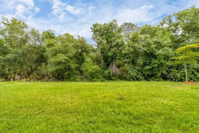 a view of a house with a yard and potted plants