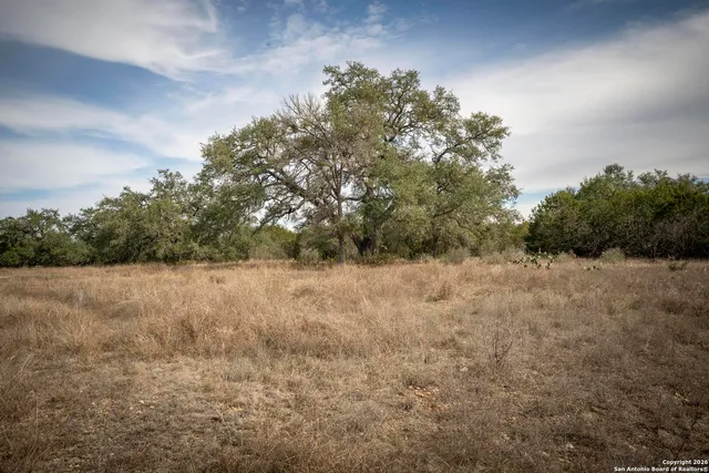 a view of dirt field with trees in background