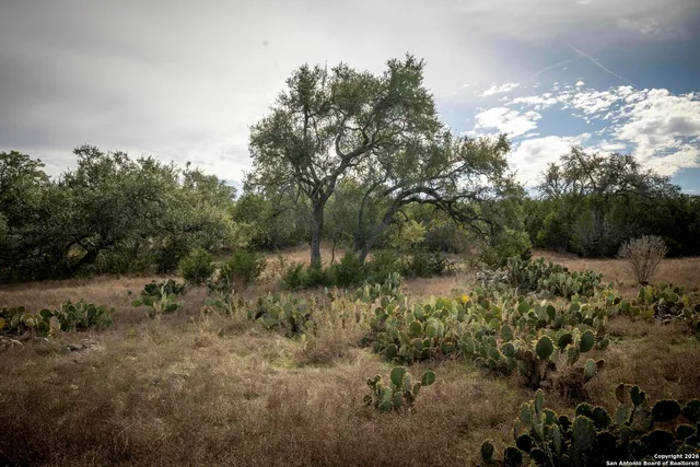 a view of a field of grass and trees