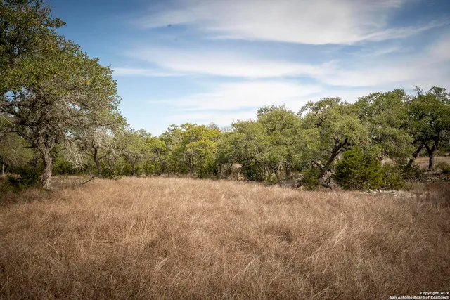 $2,699,999 | 360 Kirk Lane, Bulverde, TX 78163