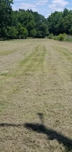 0 Abbott Lane St. George, SC 29477 - Photo 5 of 8 cut1