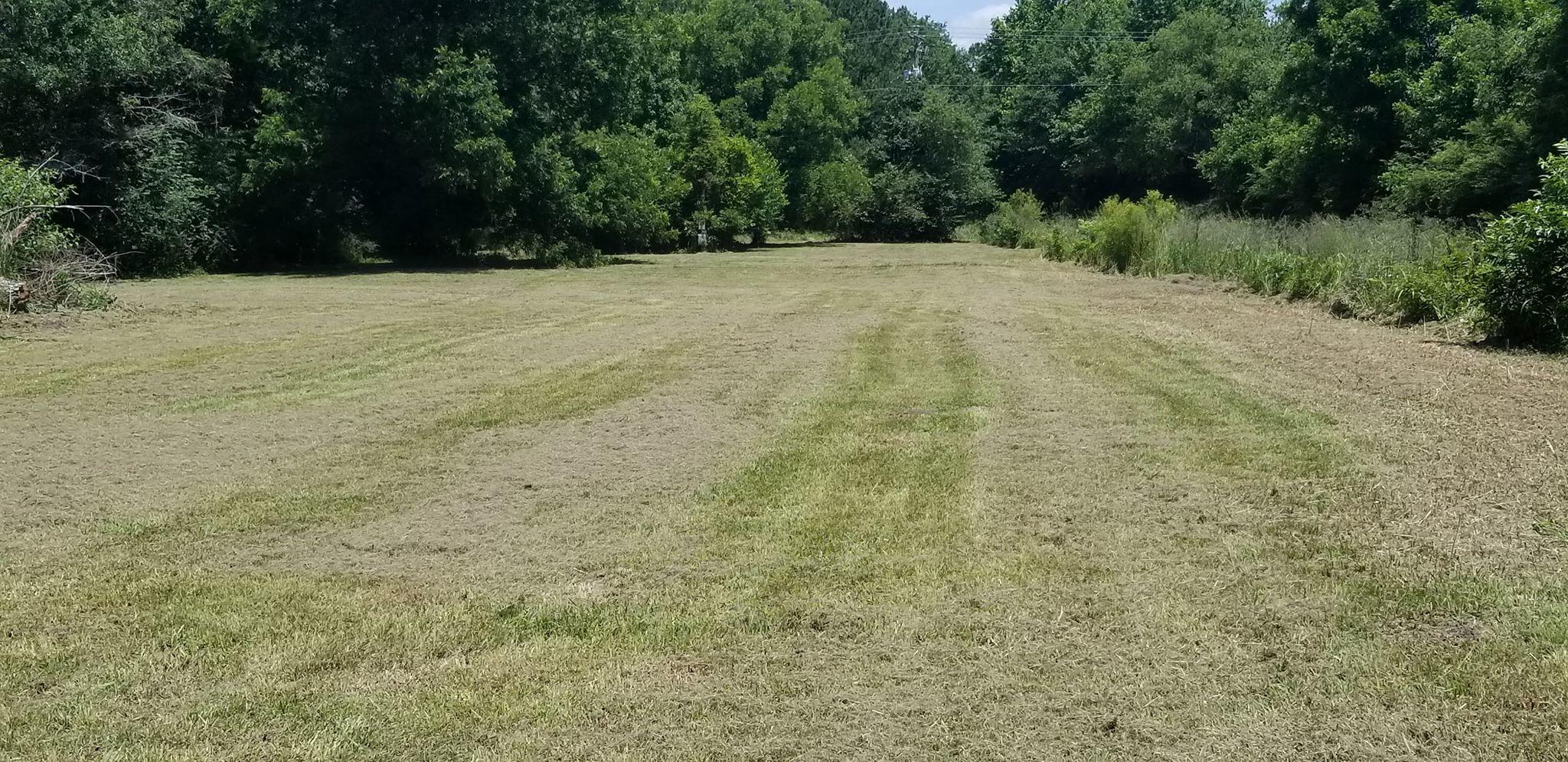 0 Abbott Lane St. George, SC 29477 - Photo 6 of 8 cut2
