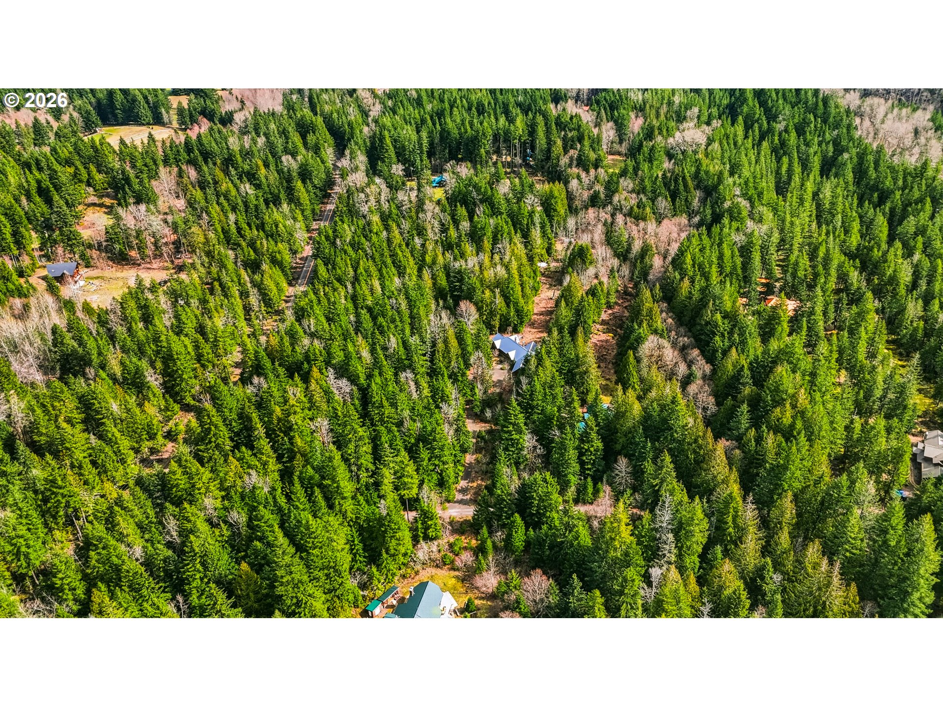 20680 East Glacier View Road Rhododendron, OR 97049 - Photo 45 of 48 a open area with trees in the background