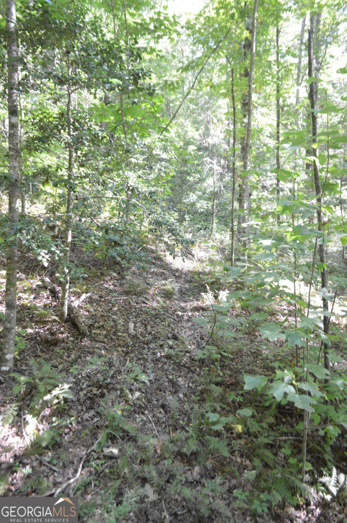 Lot 5 Hemlock Ridge Clayton, GA 30525 - Photo 8 of 18