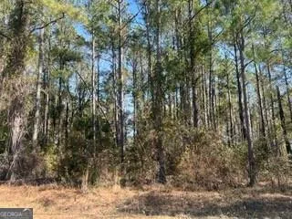 $39,900 | 241 Valhalla Road South, Unit LOT 1, Cordele, GA 31015