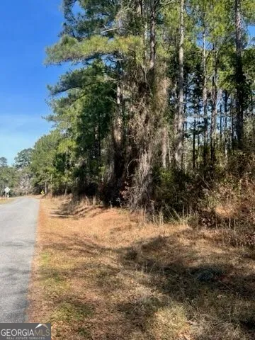 $39,900 | 241 Valhalla Road South, Unit LOT 1, Cordele, GA 31015