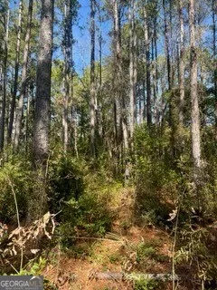 $39,900 | 241 Valhalla Road South, Unit LOT 1, Cordele, GA 31015