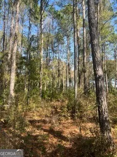 $39,900 | 241 Valhalla Road South, Unit LOT 1, Cordele, GA 31015