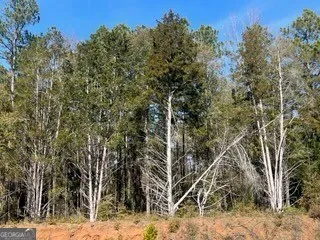 $39,900 | 241 Valhalla Road South, Unit LOT 1, Cordele, GA 31015