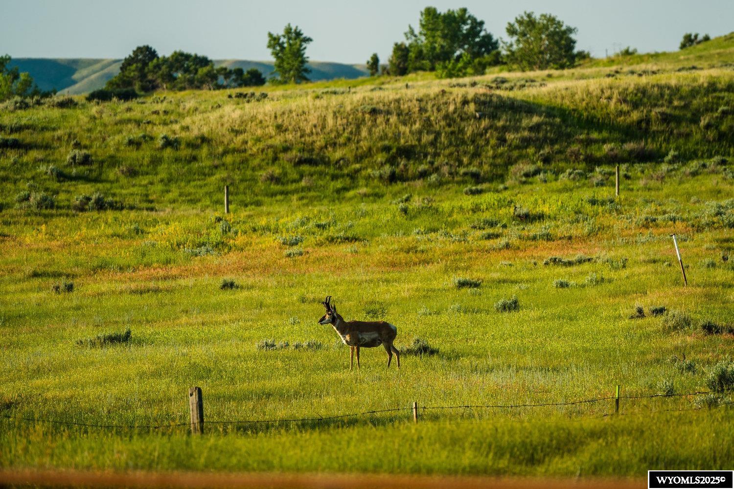 231 Rock Creek Road Buffalo, WY 82834 - Photo 40 of 45