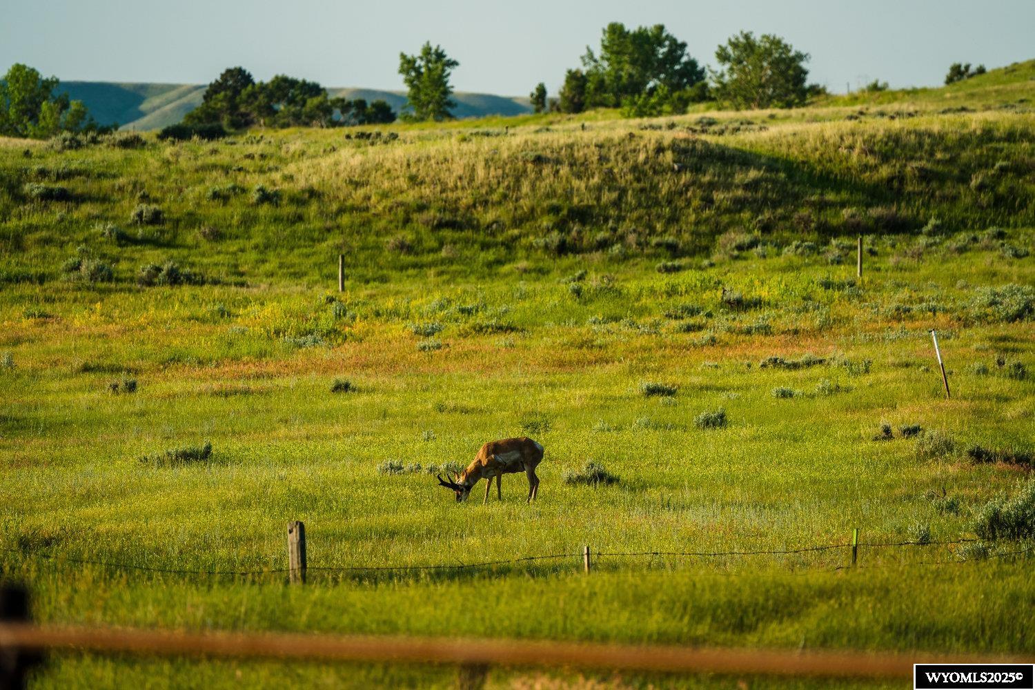 231 Rock Creek Road Buffalo, WY 82834 - Photo 41 of 45