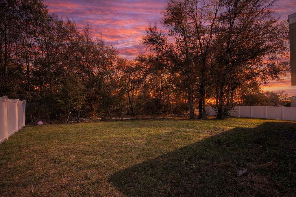 6969 Southwest 128th Street Ocala, FL 34473 - Photo 3 of 13