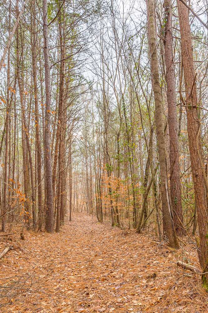 0 Copeland Road Ocoee, TN 37361 - Photo 21 of 86 406 Copeland Road HD-2