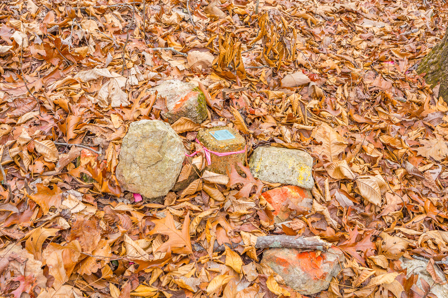 0 Copeland Road Ocoee, TN 37361 - Photo 26 of 86 406 Copeland Road HD-8