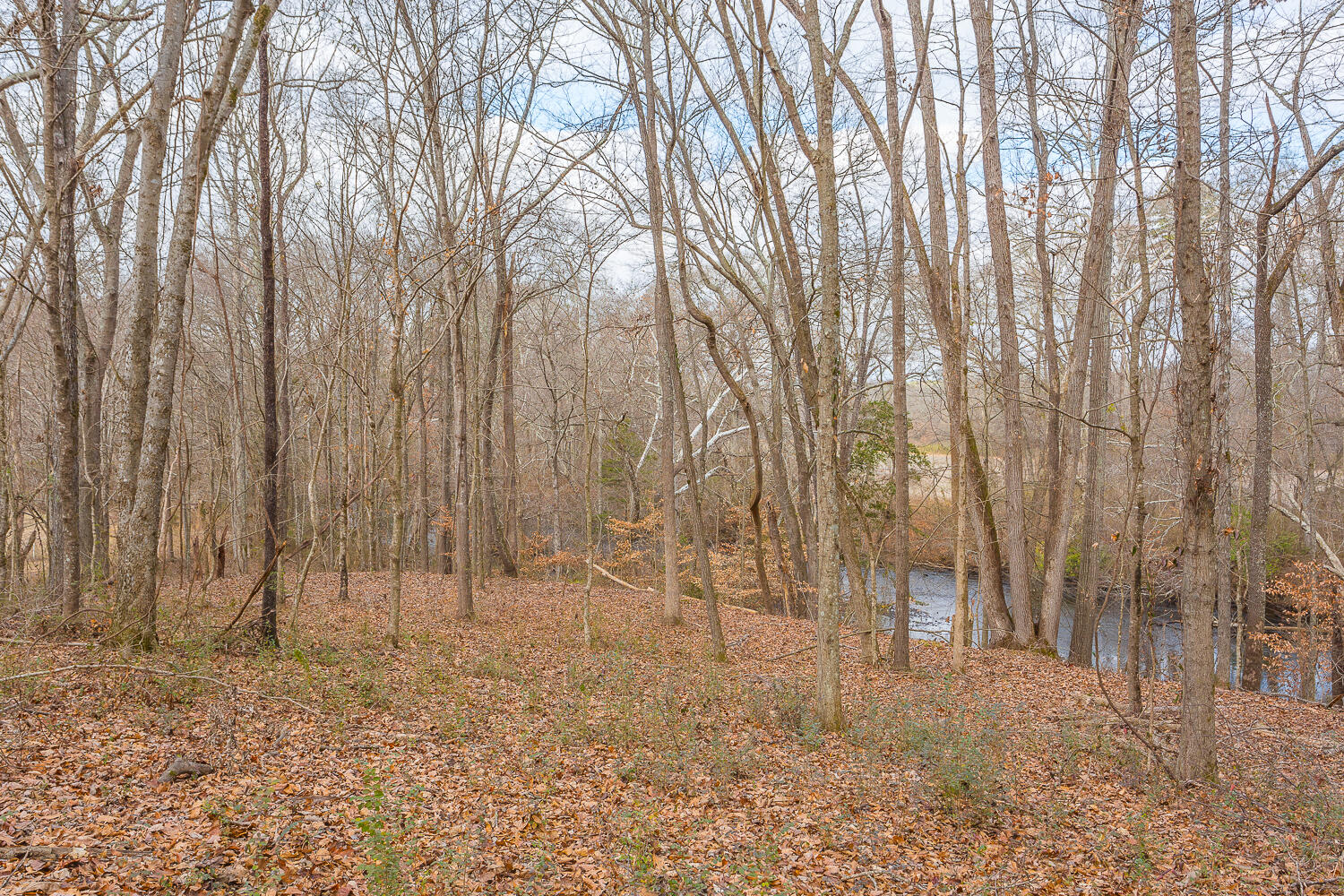 0 Copeland Road Ocoee, TN 37361 - Photo 34 of 86 406 Copeland Road HD-17