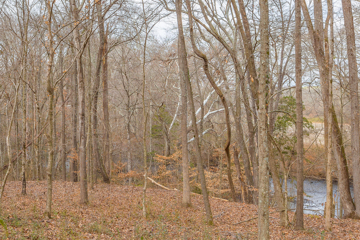 0 Copeland Road Ocoee, TN 37361 - Photo 35 of 86 406 Copeland Road HD-18