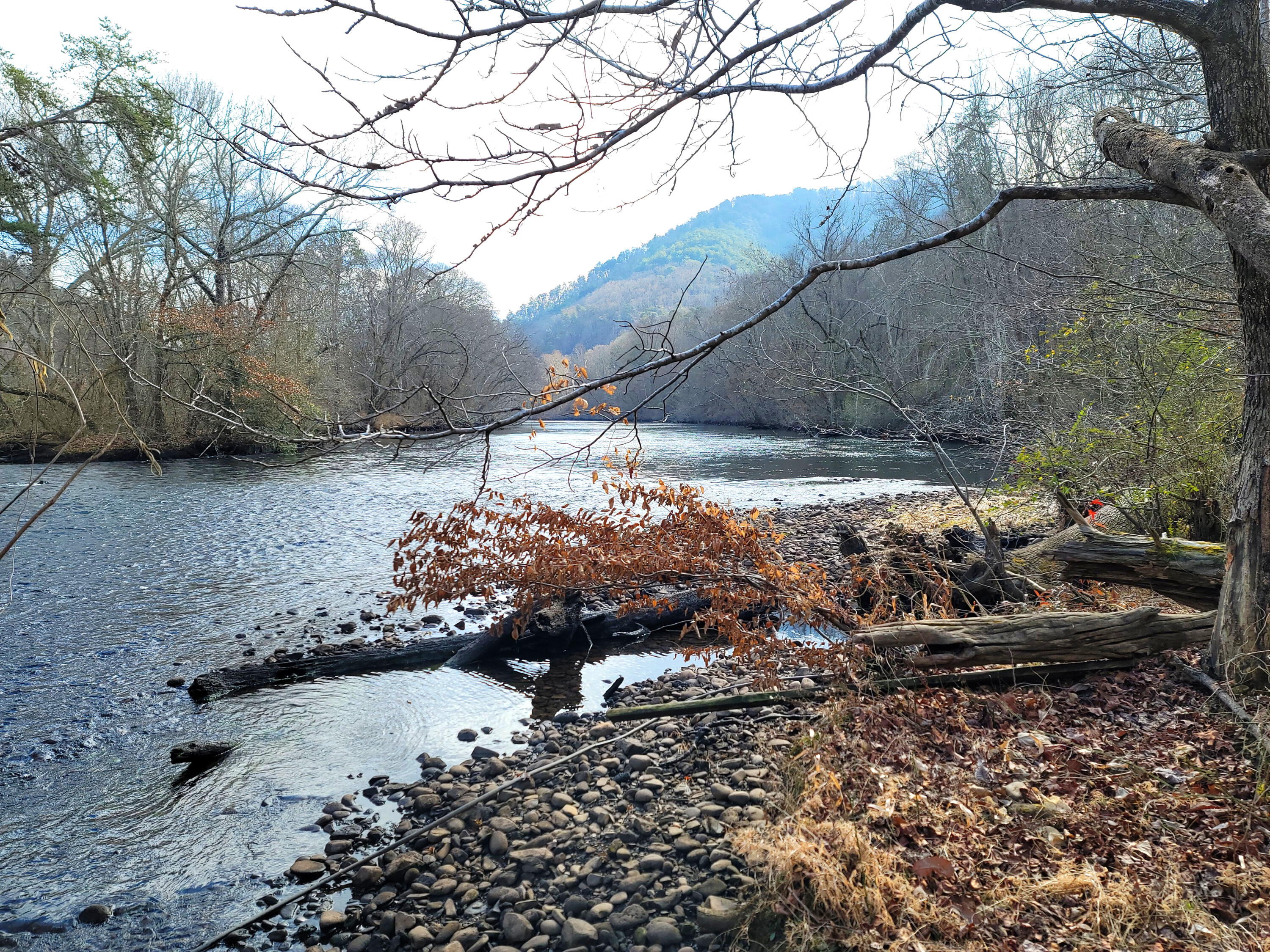 0 Copeland Road Ocoee, TN 37361 - Photo 37 of 86 20240104_122145_001