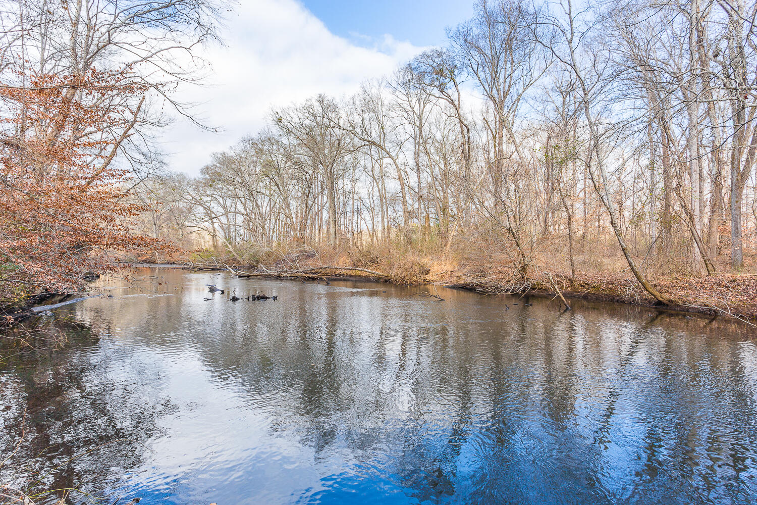 0 Copeland Road Ocoee, TN 37361 - Photo 49 of 86 406 Copeland Road HD-26