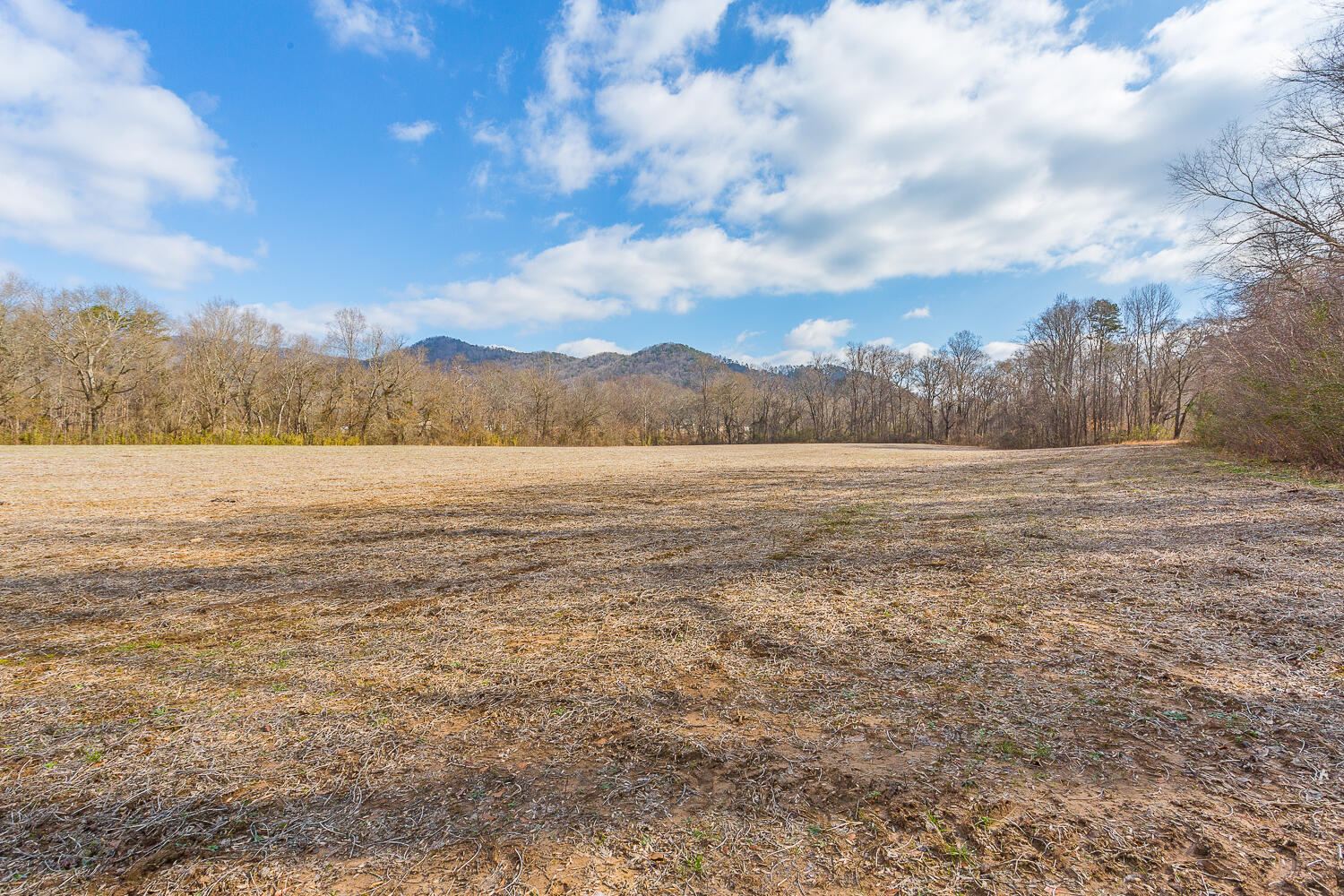 0 Copeland Road Ocoee, TN 37361 - Photo 51 of 86 406 Copeland Road HD-28