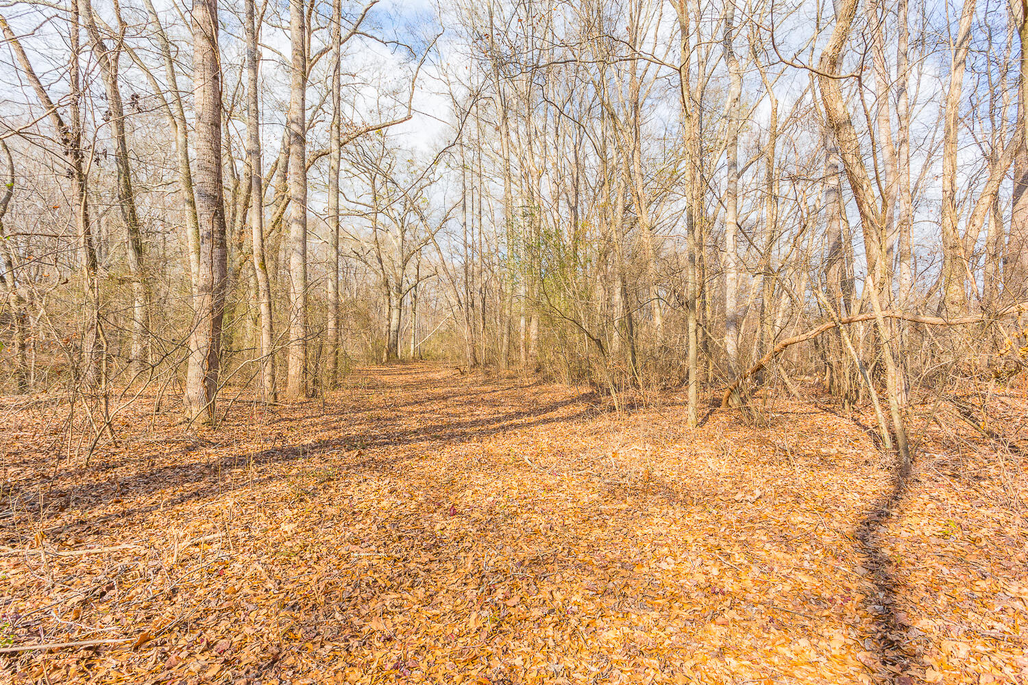 0 Copeland Road Ocoee, TN 37361 - Photo 53 of 86 406 Copeland Road HD-30