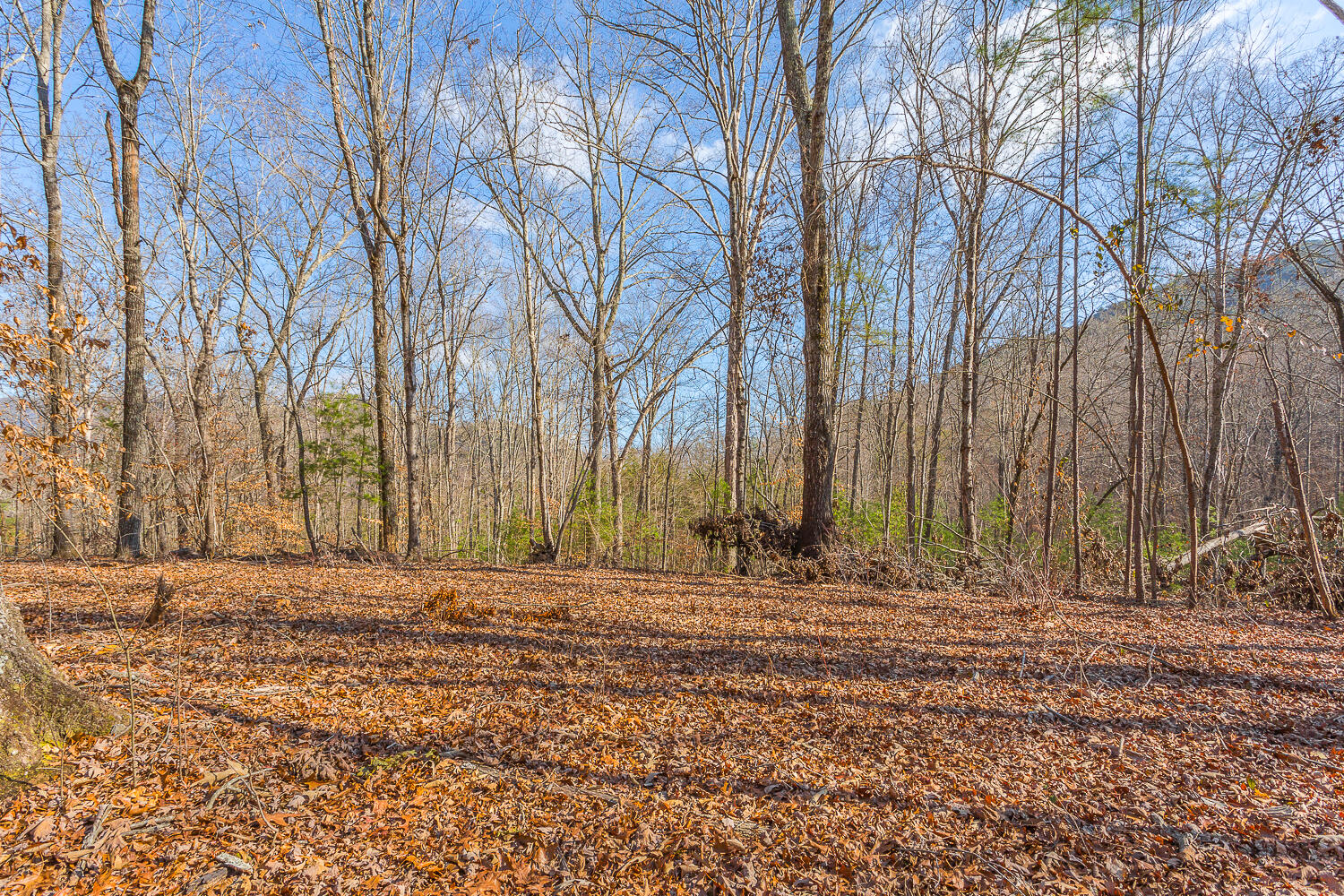 0 Copeland Road Ocoee, TN 37361 - Photo 62 of 86 406 Copeland Road HD-39