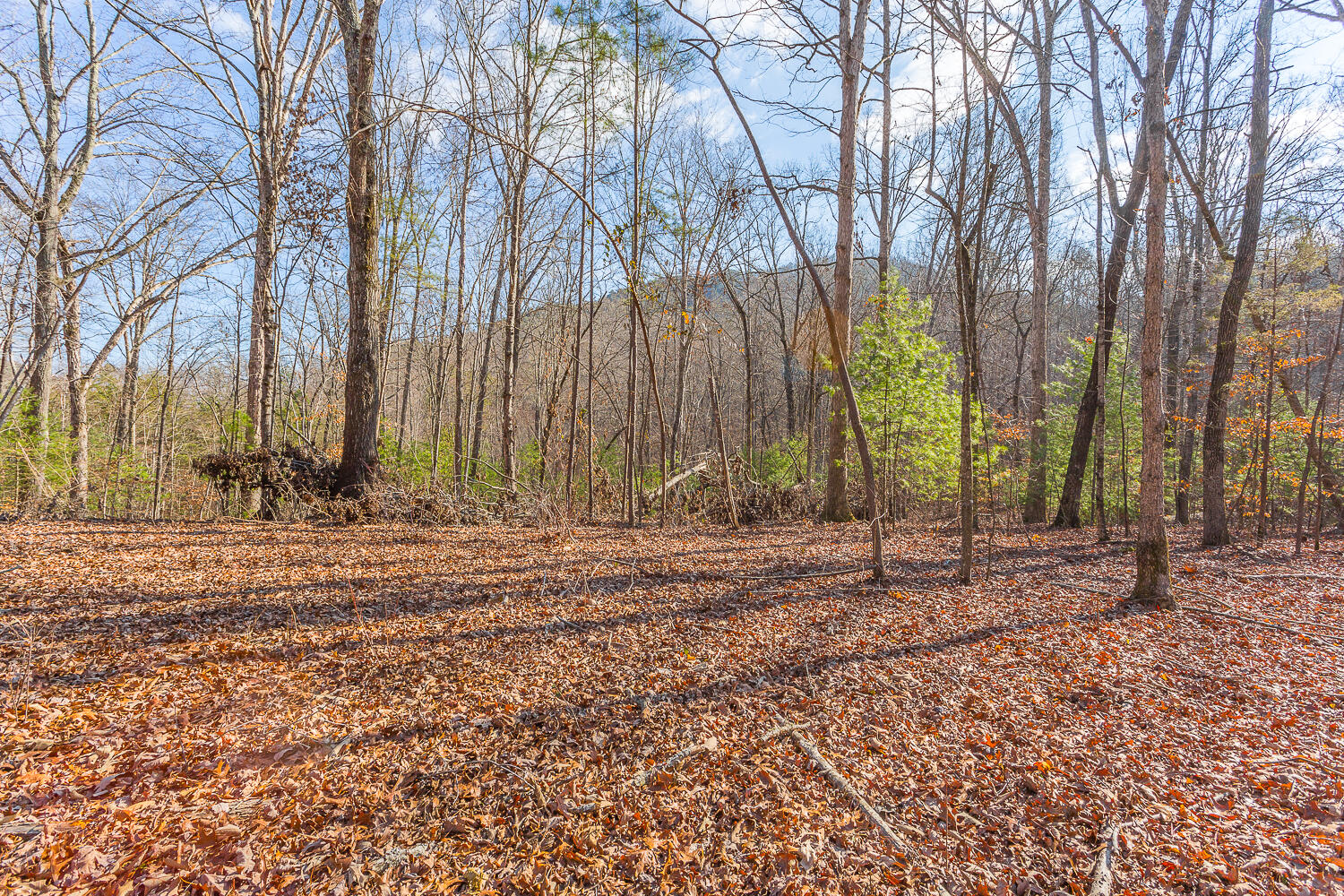 0 Copeland Road Ocoee, TN 37361 - Photo 63 of 86 406 Copeland Road HD-40