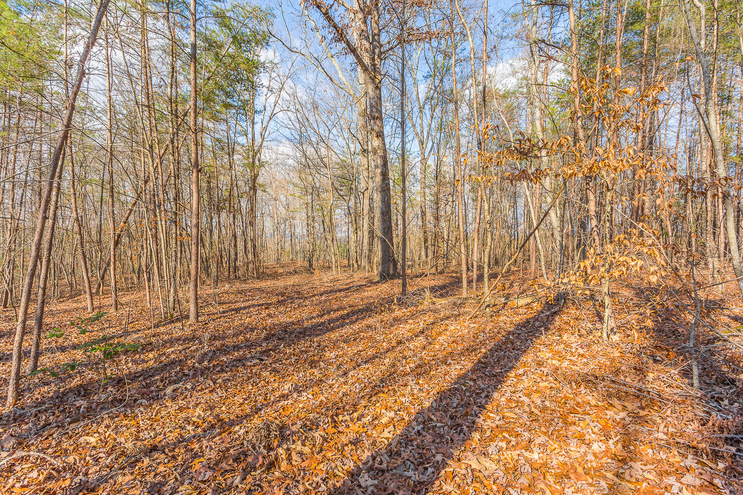 0 Copeland Road Ocoee, TN 37361 - Photo 64 of 86 406 Copeland Road HD-41